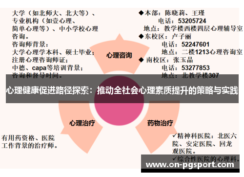 心理健康促进路径探索：推动全社会心理素质提升的策略与实践