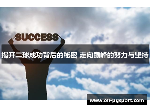 揭开二球成功背后的秘密 走向巅峰的努力与坚持