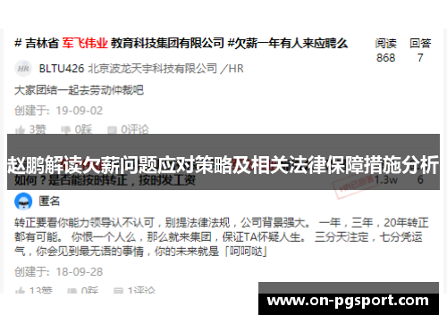 赵鹏解读欠薪问题应对策略及相关法律保障措施分析 赵鹏解读欠薪问题应对策略及相关法律保障措施分析