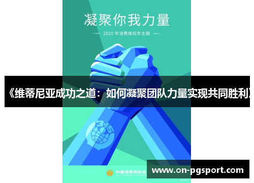 《维蒂尼亚成功之道:如何凝聚团队力量实现共同胜利》 《维蒂尼亚成功之道:如何凝聚团队力量实现共同胜利》