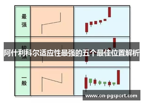 阿什利科尔适应性最强的五个最佳位置解析