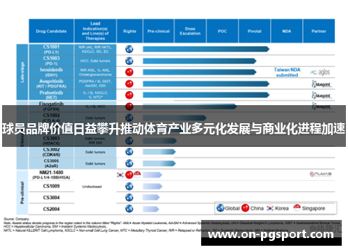 球员品牌价值日益攀升推动体育产业多元化发展与商业化进程加速